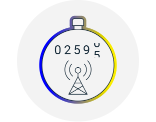 Card traffic monitoring for regulators